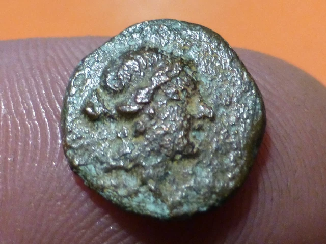 Monnaie Ancienne Grecque - Unité De Bronze Zeugitane Carthage, 2.99g, Pièce Historique
