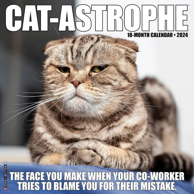 Cat-Astrophe - 2024 Calendario da Parete - Nuovo - 32893