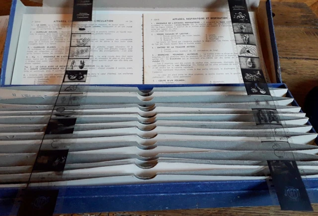 SCIENCES-LE CORPS HUMAIN -Boite De 11 Films Scolaires, 132 Photos À