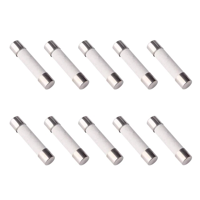 SMIN Lot de 10 fusibles rapides F8AL 250 V en céramique 6 x 30 mm (8 A)