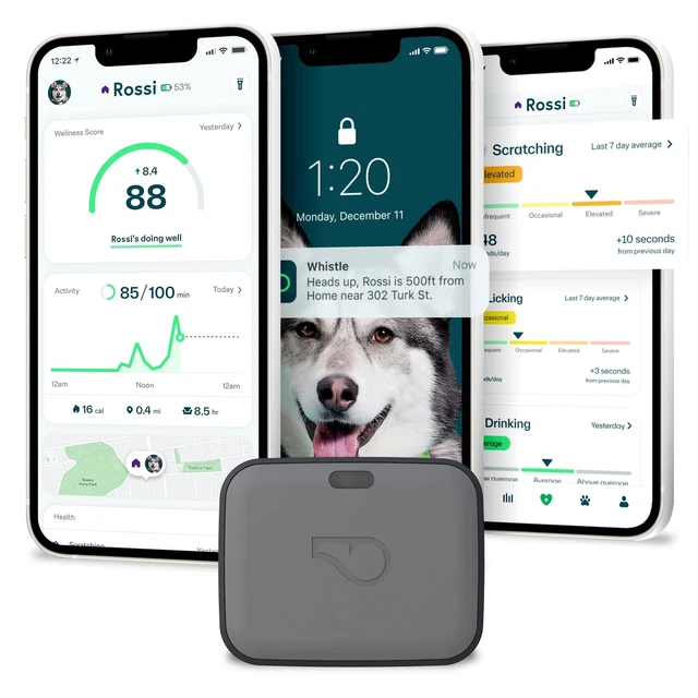 Whistle GO Explore GPS + Health + Fitness Dog Tracker Plus Health & Fitness M...