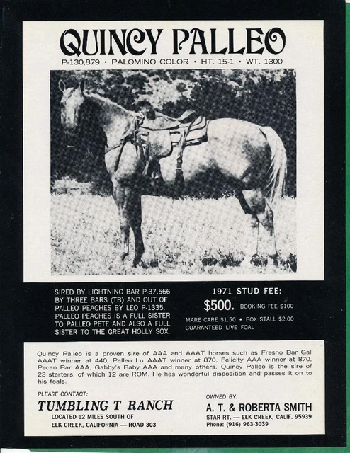 Magazine Ad - 1971 - Tumbling T Horse Ranch, Elk Creek, CA - QUINCY PALLEO