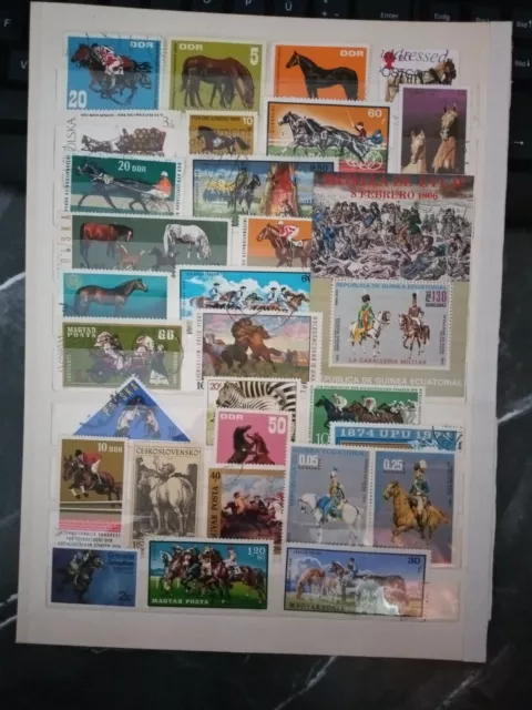 Pferde Reiter Briefmarken Sellos Stamps Timbres