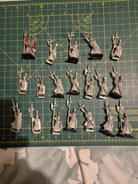 High Elf Metal Phoenix Guard And Caradryan, Warhammer The Old World, X 19