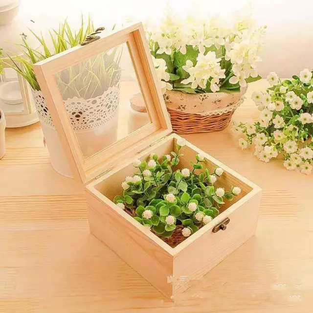 Plain Wooden Box Unpainted Wood Storage Case Glass Lid