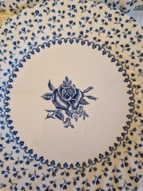 Royal Victoria Rose Bouquet Six Tea or Side Plates 6.75 inches, Lovely Condition 3