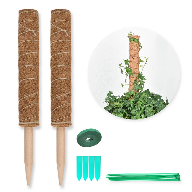 Pflanzstab Kokos Ø 4.8cm Monstera 2 Stück Rankhilfe Rankstab 40cm 2er Set