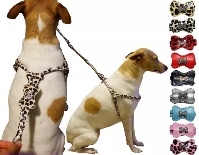 Rhinestones Bone Adjustable Step-In Unisex Dog Harnesses & Matching Leash Set