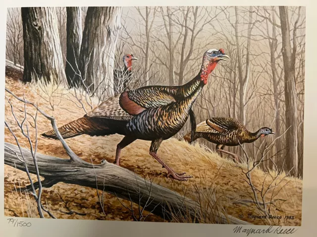 Maynard Reece 1983 Missouri Wild Turkey Stamp Print signed and numbered 79/500