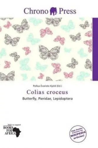 Colias croceus Butterfly, Pieridae, Lepidoptera 1795