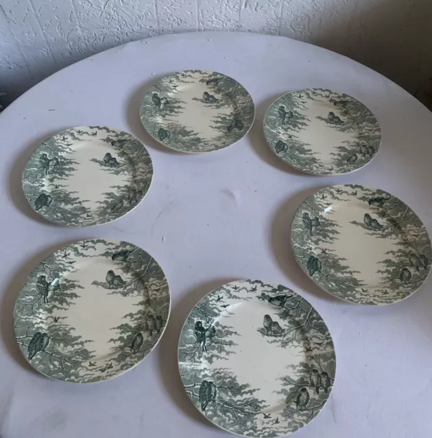 6 assiettes plates anciennes faience U C Sarreguemines modéle Neige Tbe