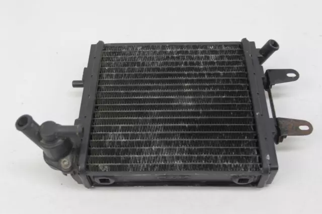 Radiatore Gilera Kz 125 Endurance Radiator Cooler Kuhler Radiateur Radiador