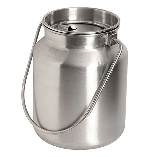 Lindy'S Stainless Steel Gallon Jug, Silver