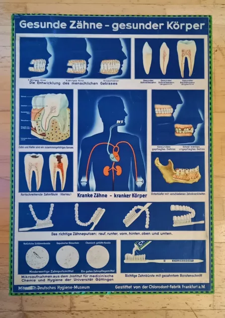 Lehrbild zur Zahngesundheit 30er40er Jahre auf Leinen Kaschiertem Papier