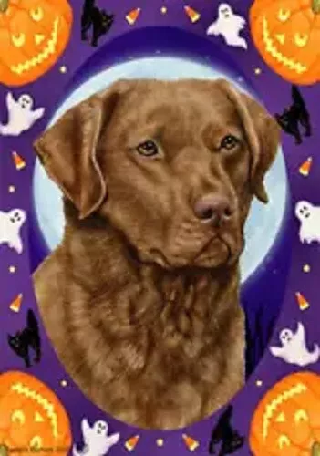 Halloween Garden Flag - Sedge Chesapeake Bay Retriever