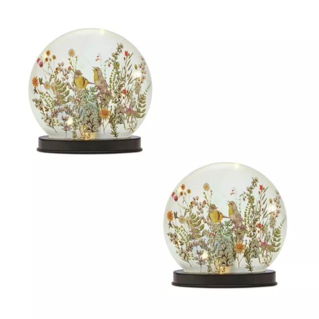 LED Frosted Glass Bird and Floral Globe (Set of 2) Beautiful Home Decoration