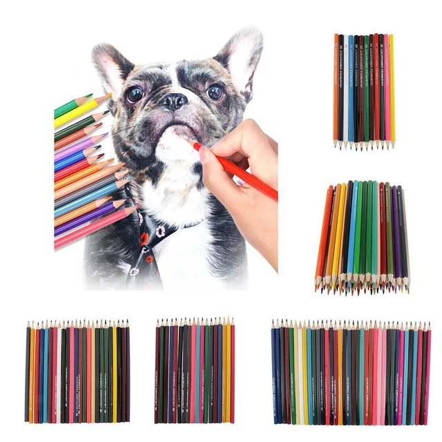 Matériel Artistique Set Crayons Couleur Norberg & Linden - 120 Crayons Cire, Papier, Gommes, Taille-crayons Kit Artiste Complet