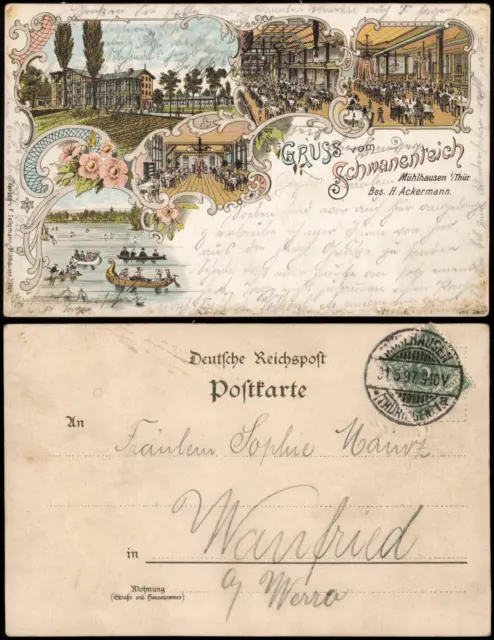 Litho AK Mühlhausen (Thüringen) Gruss vom Restauration Schwanenteich 1897