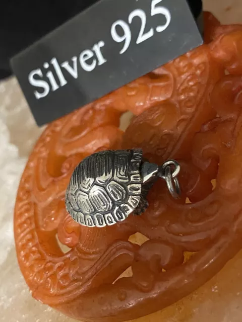 Silber Schildkröte Medaillon Box Anhänger und Kette