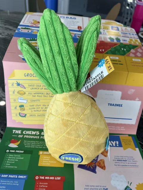 NWT Barkbox Beg-N-Bag Grocery “Spiky Pineyapple" Dog Toy Plush Squeaker M/L