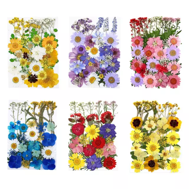 Mix Pressed Dried Flower Floral DIY Epoxy Resin Crafts Card Making Nail Arts