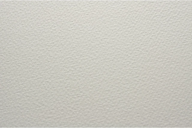 20x Bockingford Acuarela Tinte Gris 300gsm NO 1/4 Imperial (11x15")