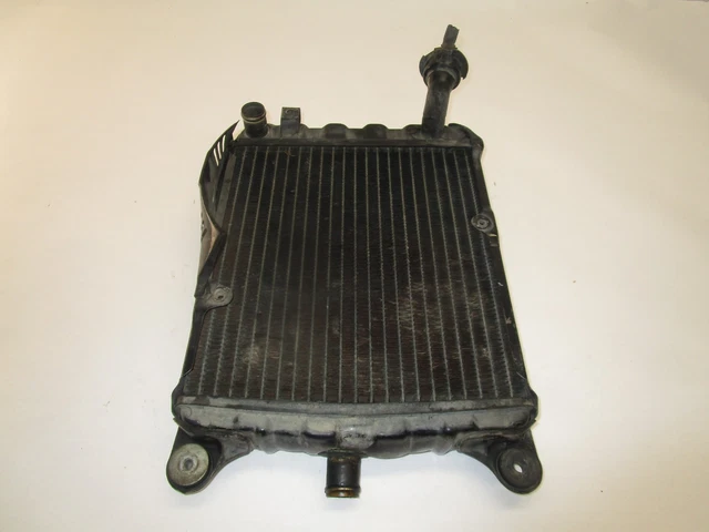 honda goldwing cooling system