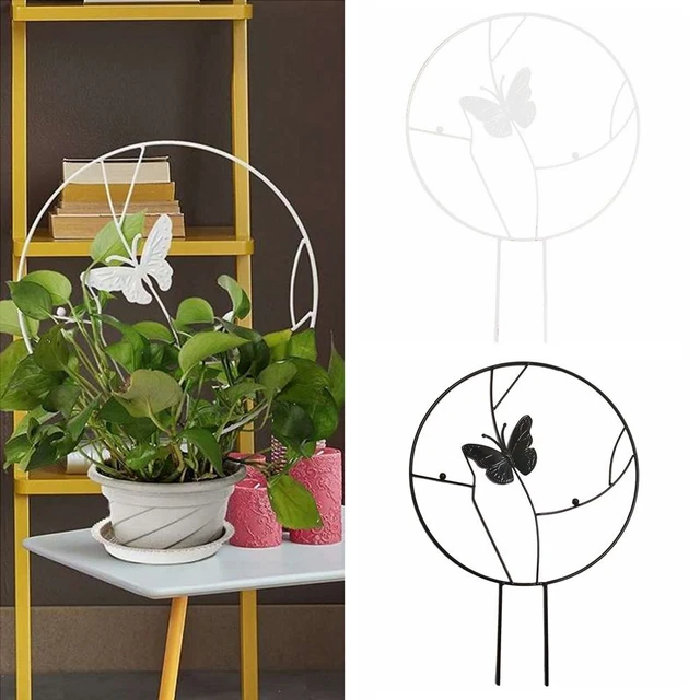 Fleur Tige de fixation Support d'escalade Support pour plantes Cadre d'escalade
