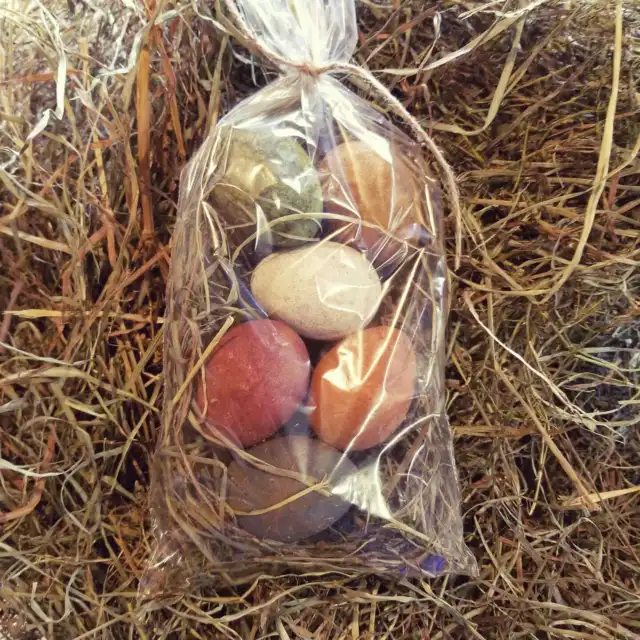 Primitive Colonial Colors 2 12 inch 6 pc Egg w/ Prim Easter Grass