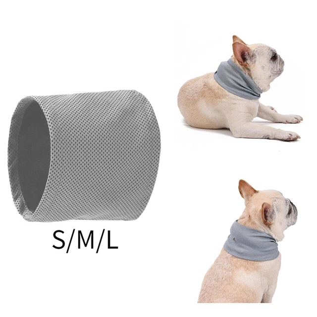 collar chill out ice bandana