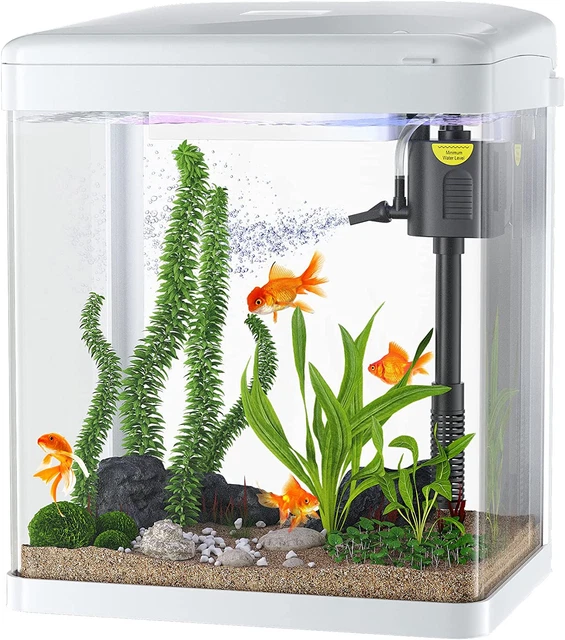 2 Gallon Aquarium Starter Kit Glass Led Aquarium Kit  Small Betta Fish Tank 2023