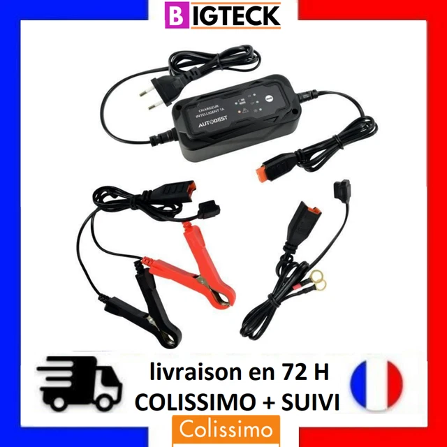 CHARGEUR DE BATTERIE VOITURE AUTO/MOTO 6 et 12 VOLTS MAINTIEN CHARGE