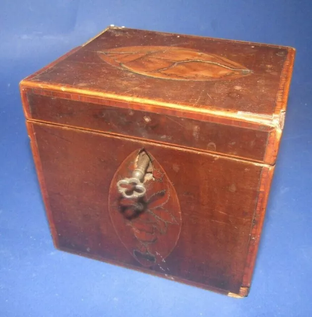 Antique Box Tea English 18EME Georgian Satinwood Shell Tea Caddy