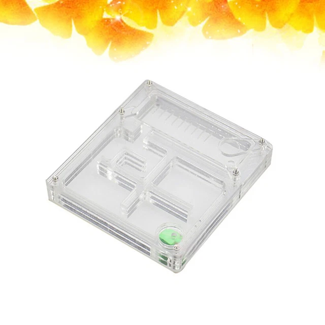 Caja hidratante creativa para hormigas acrílico transparente nido vivo caja de cría de hormigas