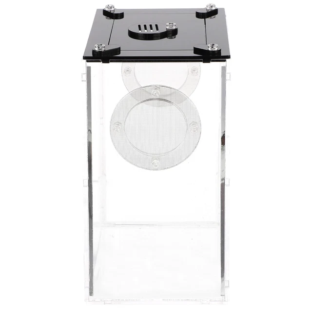 Terrarium Pour Tortue D’eau – 32,7 X 19,3 X 12,2 Cm, Avec Zone D’escalade Et Pot – Pour Petit Reptile, Décoration Bureau - 11