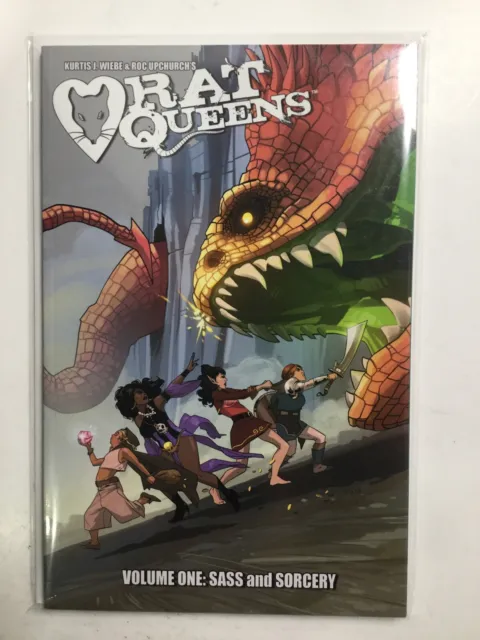Rat Queens Volume One 1 Sass And Sorcery Tpb Softcover Sc Near Mint Nm Image