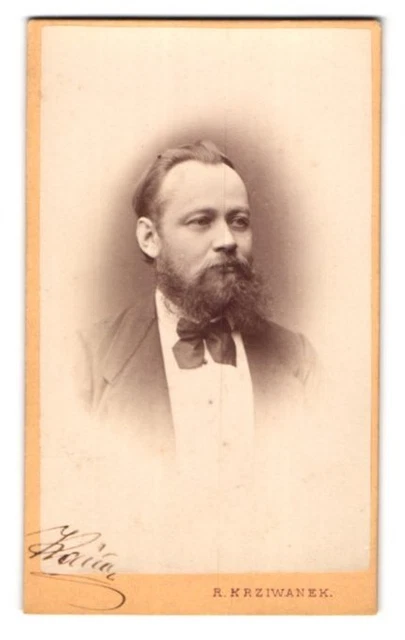 Fotografie R. Krziwanek, Wien, Hofstallstr. 5, Eleganter Herr mit Vollbart