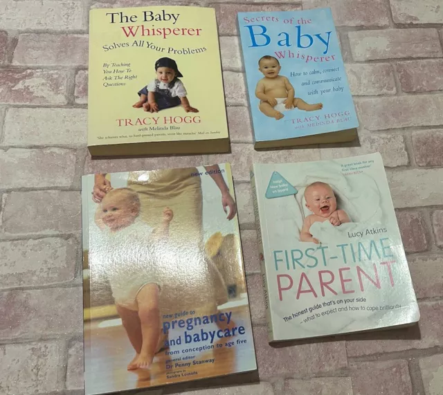 Pregnancy & Parenting Book Bundle