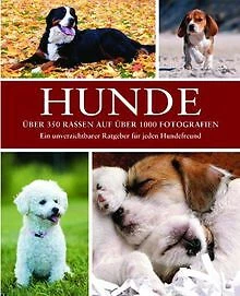 Hunde: Rassen Pflege Geschichte von Parragon | Buch | Zustand sehr gut