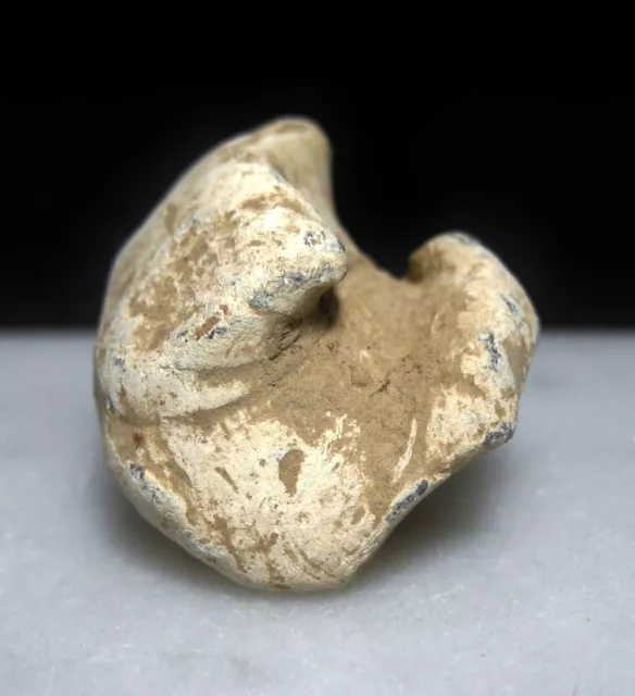Antietam Battlefield Civil War Relic Dug Fired Mushroomed High-Impact Bullet