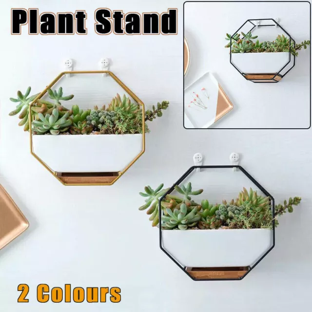 Flower Plant Pot Indoor Outdoor Garden Wall Hanging Succulent Planter Pot Vase A