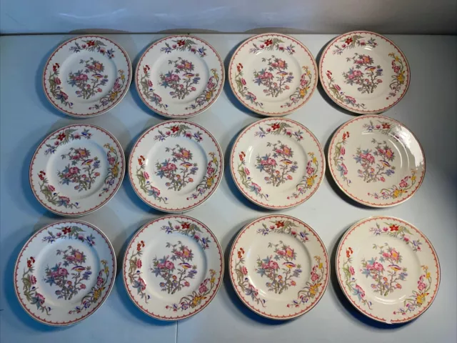Old Ivory Syracuse China OPCO Flowers Bird Bombay 8" Salad Plates - Set of 12
