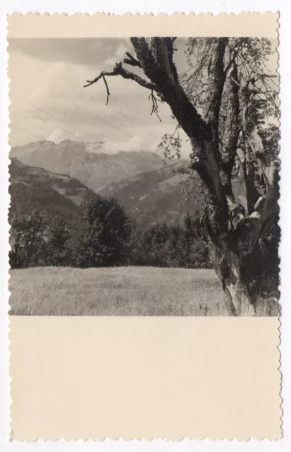 PHOTO Massif du Mont Blanc Chaîne des Aravis Vers 1950 Haute-Savoie Montagne