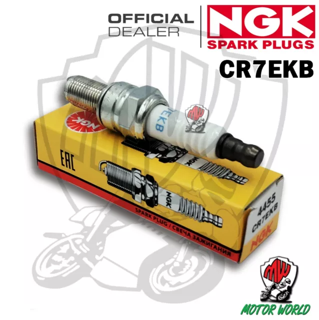 Bougie Spark Plug NGK CR7EKB Atlantic 500 Sprint 2002 2003 2004 2005 2006 2007