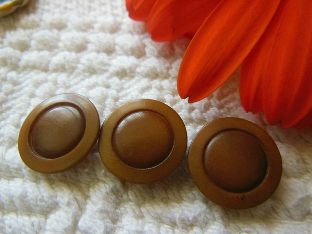 Trio boutons anciens en corozo marron à pied deux tons 1,5 cm G9C