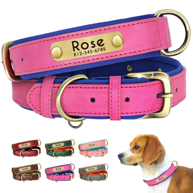 Soft Leather Padded Dog Collar Custom Name ID Tag Free Engraved Pink Red Green