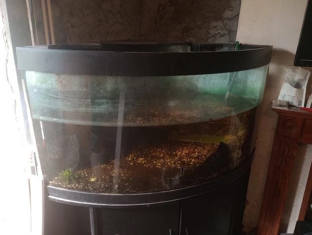 Fish Tank