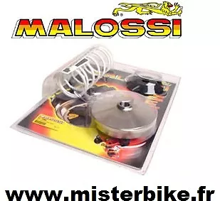 Variateur MALOSSI MBK Skyliner XMAX YAMAHA Majesty X-MAX Evolis 125