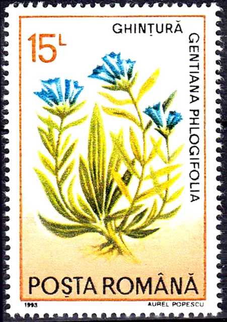 Rumänien postfrisch MNH Blume Flora Blauer Enzian Pflanze  Jahrgang 1993 / 919