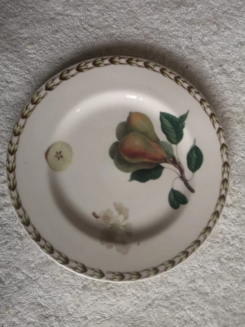 hookers fruit. queens royal horticultural society side plate. pear